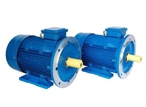 Permanent Magnet Synchronous PMSM 3 Phase AC Motors
